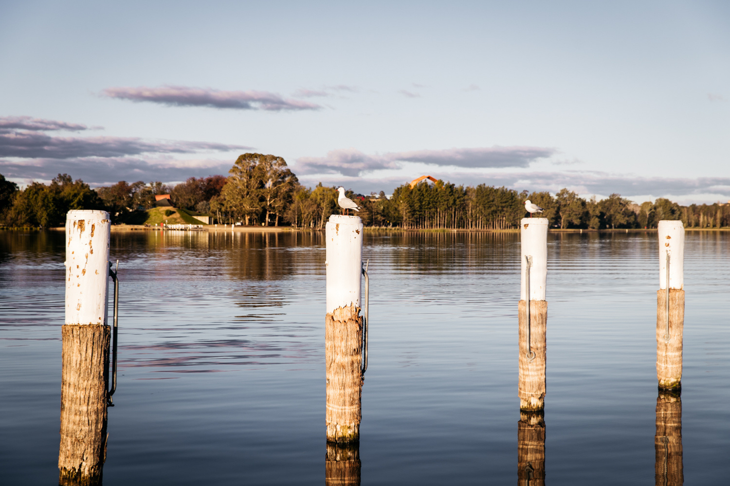 Four old pier pylons in deep water with a couple of seagulls sitting on top