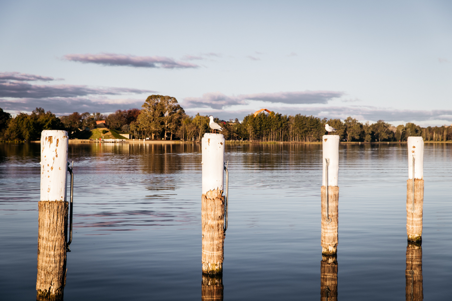 GoBoat Electric Picnic Boat Hire - No Boat Licence Required