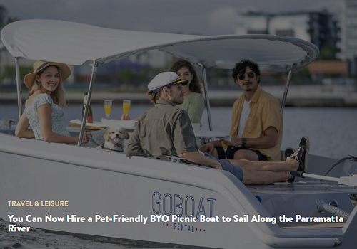Four people and a dog relaxing on an electric goboat